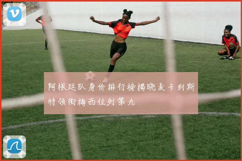 阿根廷队身价排行榜揭晓麦卡利斯特领衔梅西位列第九