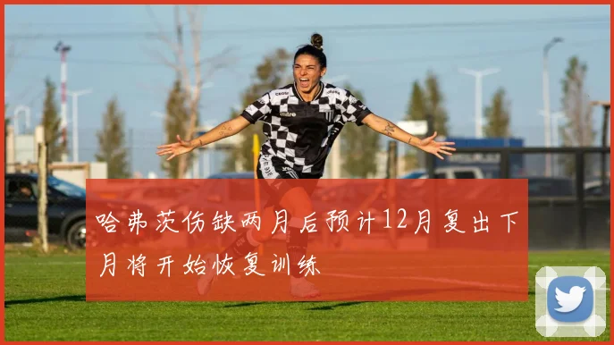 哈弗茨伤缺两月后预计12月复出下月将开始恢复训练