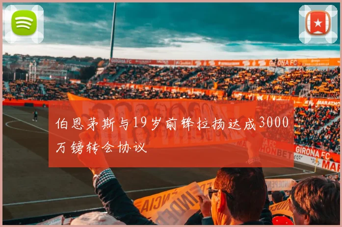 伯恩茅斯与19岁前锋拉扬达成3000万镑转会协议