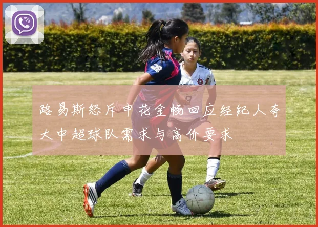 路易斯怒斥申花金畅回应经纪人夸大中超球队需求与高价要求